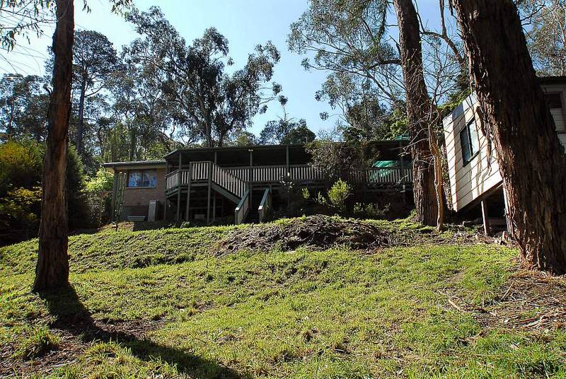 MAKE YOUR FIRST STEP A FRUITFUL ONE Picture 1