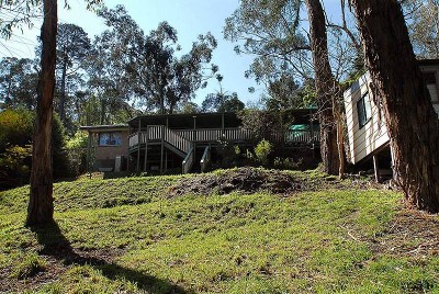 MAKE YOUR FIRST STEP A FRUITFUL ONE Picture MAKE YOUR FIRST STEP A FRUITFUL ONE Picture