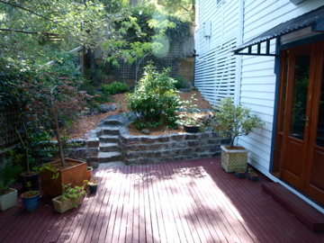 CELEBRATION OF OLD AND NEW Picture 3