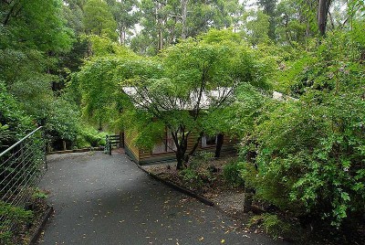 ATTENTION ALL FIRST HOME BUYERS Picture ATTENTION ALL FIRST HOME BUYERS Picture