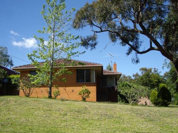 THE PERFECT PACKAGE Picture 3