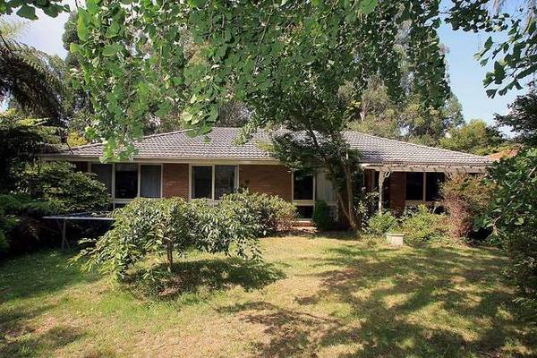 FAMILY FRIENDLY Picture 1