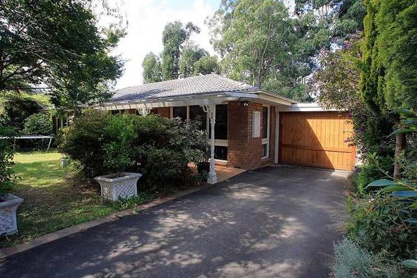 FAMILY FRIENDLY Picture 3