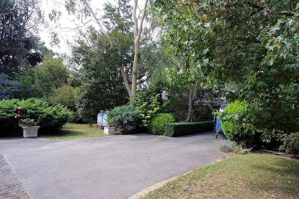 FAMILY FRIENDLY Picture 2