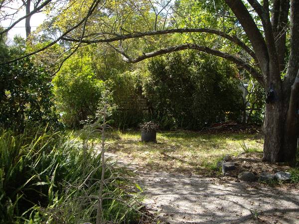 UNDER CONTRACT - LAND OF OPPORTUNITY Picture 2