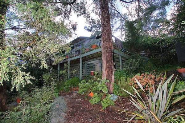 SOLD * SOLD * SOLD * Picture 1