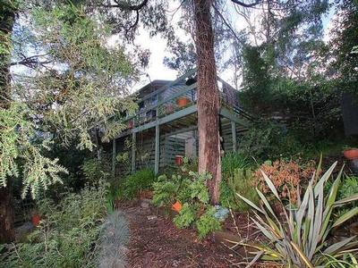 SOLD * SOLD * SOLD * Picture SOLD * SOLD * SOLD * Picture