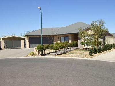 Sophistication Plus! Picture