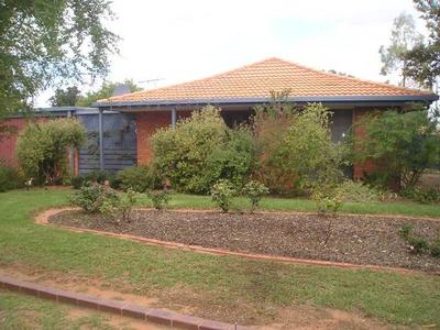 Lovely Leafy Location Picture