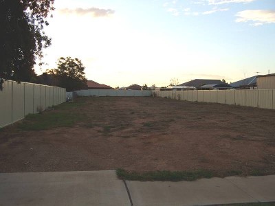 A Golden Opportunity Picture A Golden Opportunity Picture