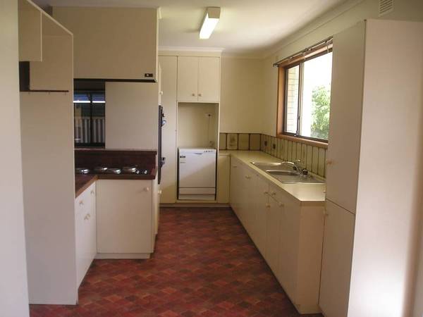 BIG, BIG, BIG! Picture 2