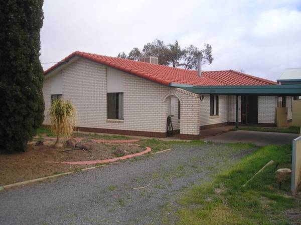 BIG, BIG, BIG! Picture 1