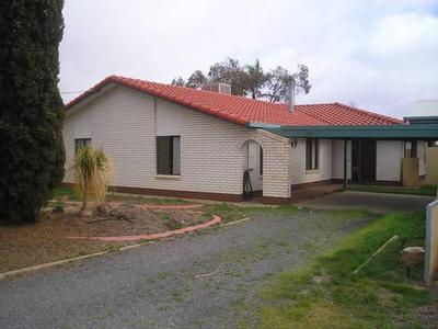 BIG, BIG, BIG! Picture BIG, BIG, BIG! Picture