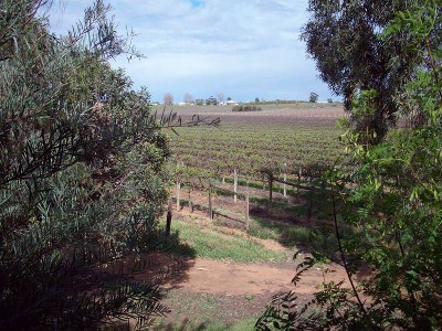 10 Acre Home Site - Hobby Farm Picture 10 Acre Home Site - Hobby Farm Picture