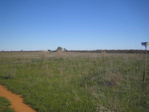 Land, Water & Bush Views Picture