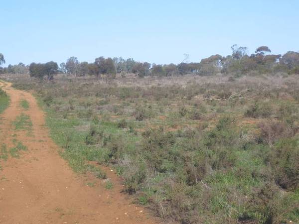 Land, Water & Bush Views Picture