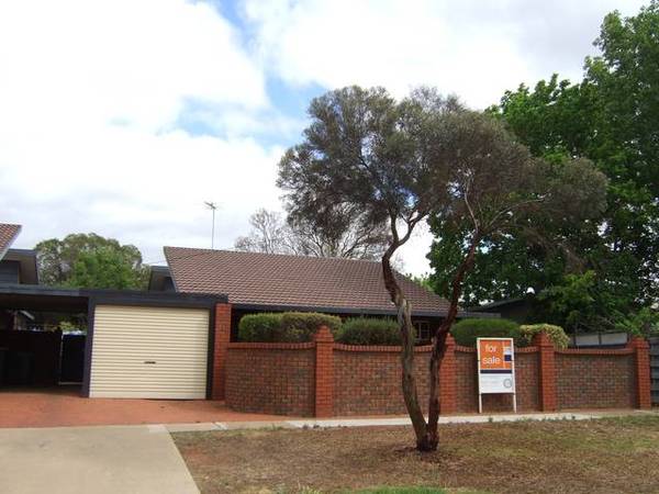 Perfect Little Starter Picture 1