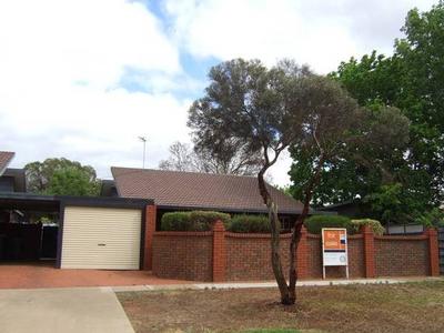 Perfect Little Starter Picture