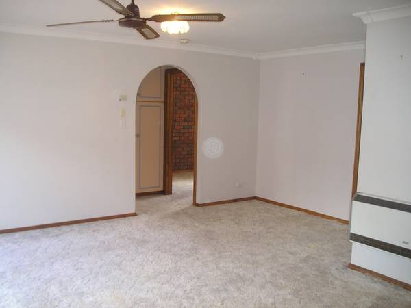 Perfect Little Starter Picture 3