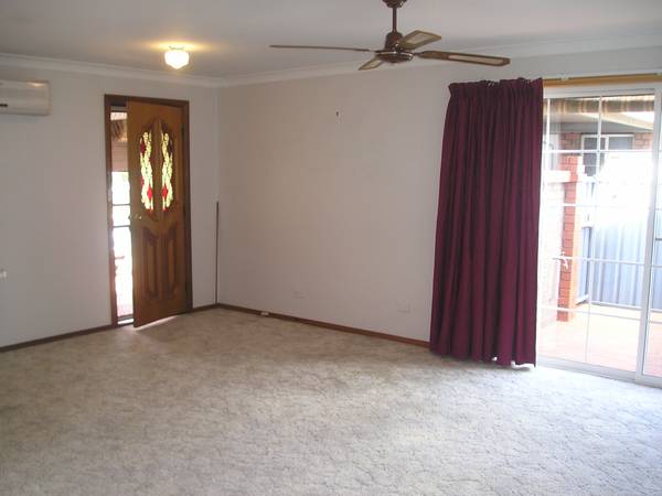 Perfect Little Starter Picture 2