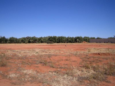 Belvedere Hights Picture