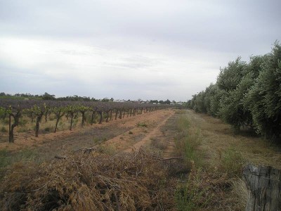 10 Acres Picture