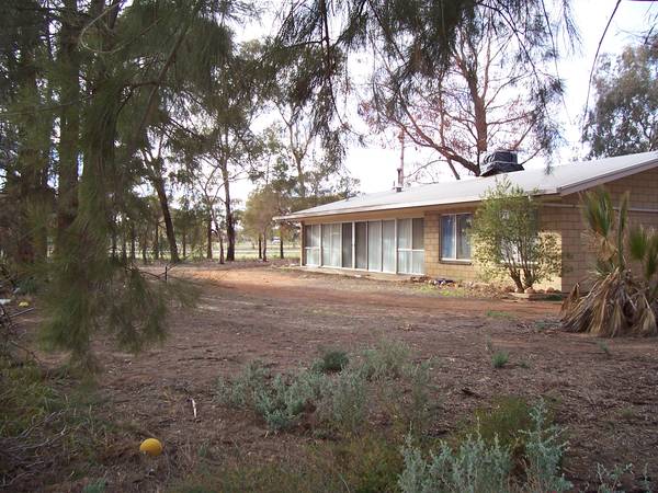 Bank The potential Picture 1