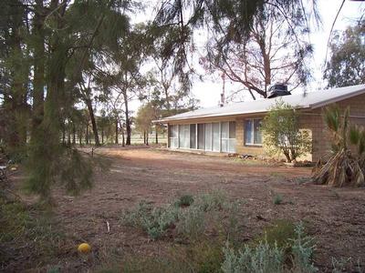 Bank The potential Picture