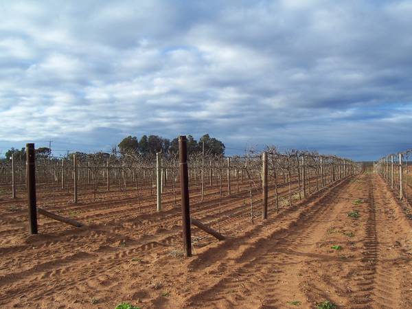 Bank The potential Picture 2