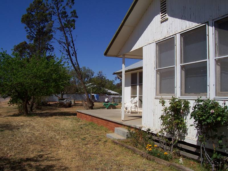 FRESHLY PAINTED THREE BEDROOM Picture 2
