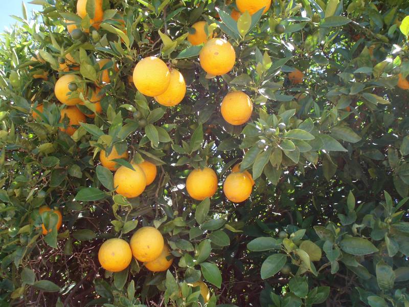 Seclusion - Lifestyle Property Picture 3