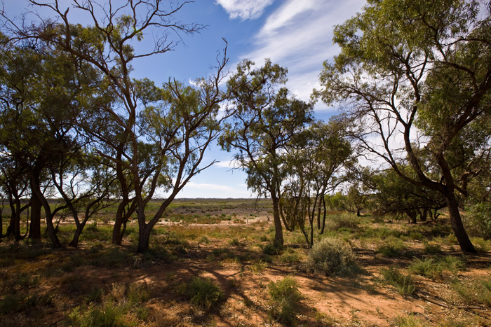 Elevated Views Picture 1