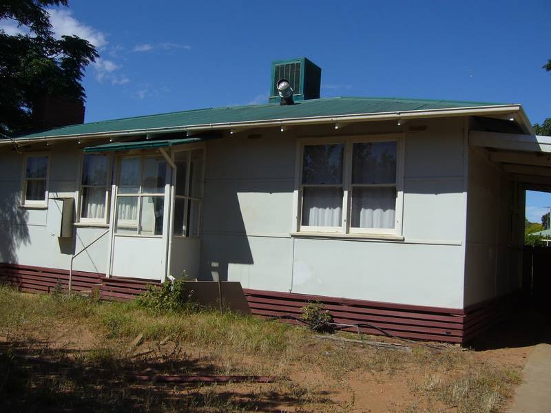 Little Gem Picture 1