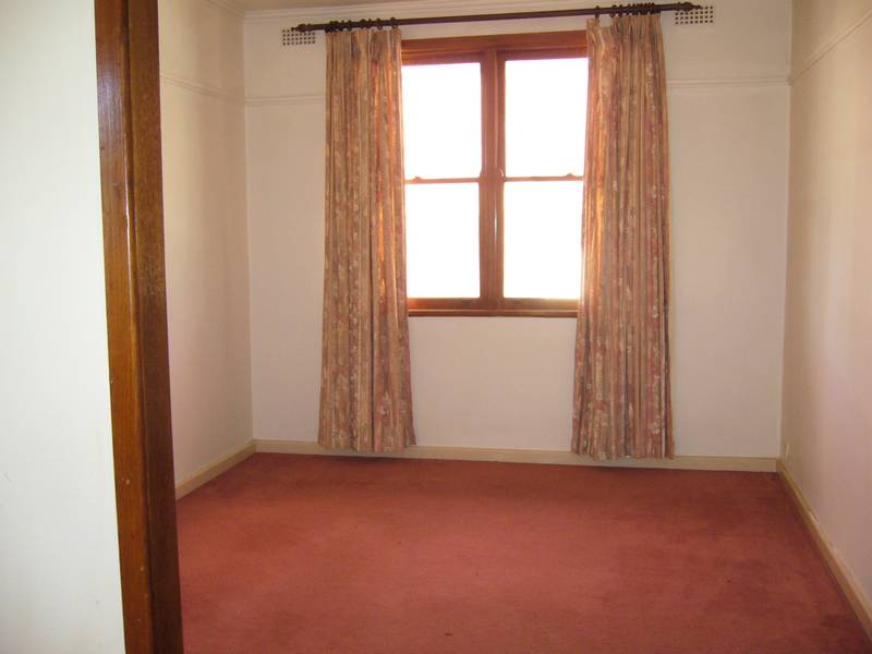 Little Gem Picture 3