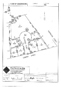 Land Of Opportunity Picture