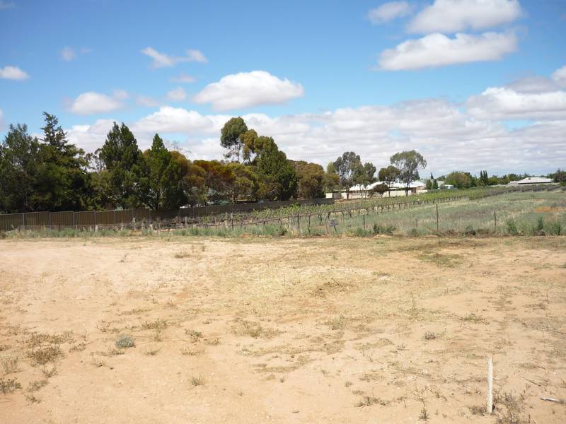 VACANT LAND Picture 2