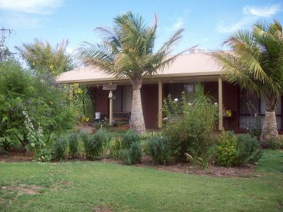 Loved & Well Cared For Picture