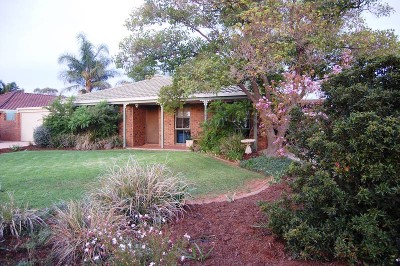 The Complete Package Picture