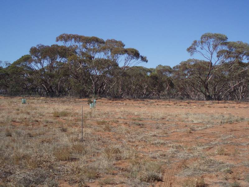 Bushmans Paradise Picture 3