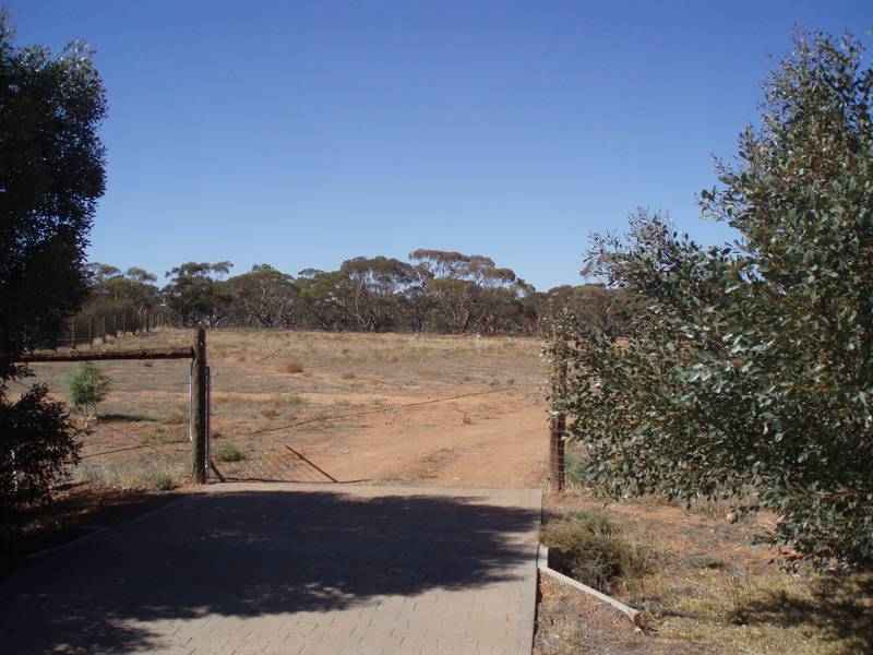 Bushmans Paradise Picture 1