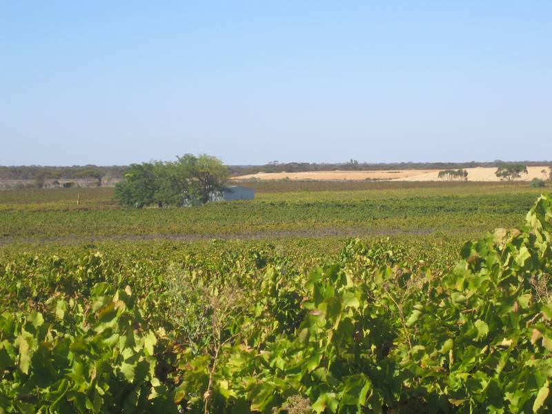 Family Home On 54 Acres Picture 2