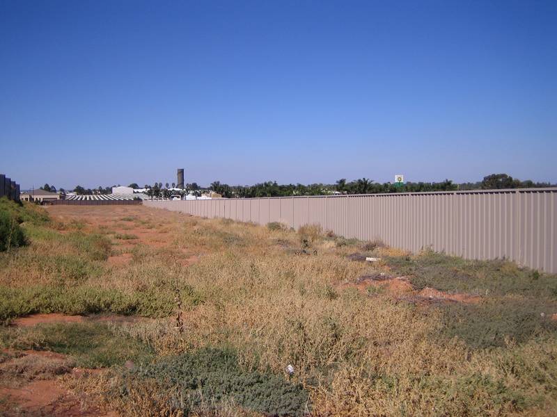 Dirt Cheap! Picture 1