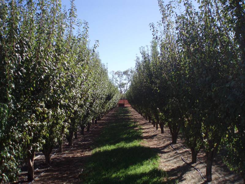 3 Acres Plus: River Rd 