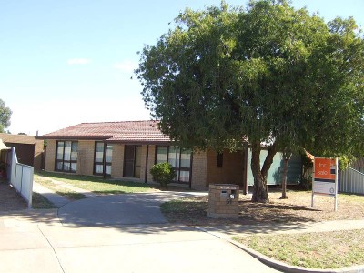 Entertainers Delight Picture