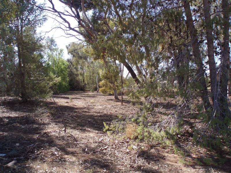 Billabong Glimpses Picture 2