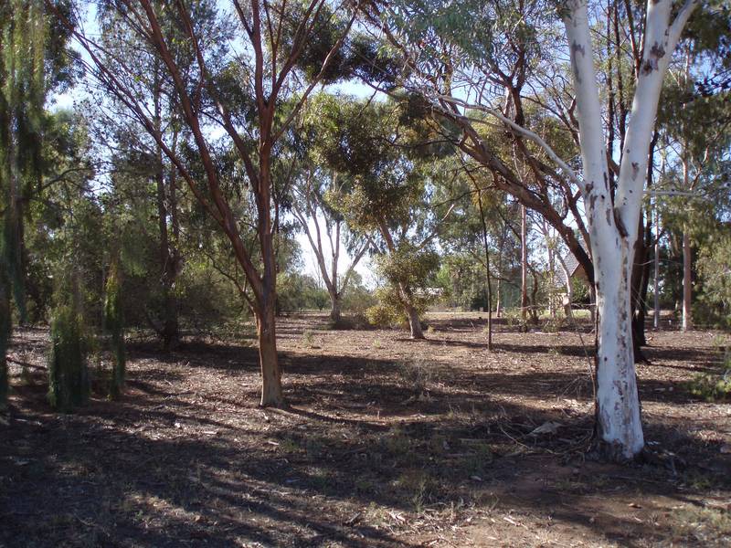 Billabong Glimpses Picture 1