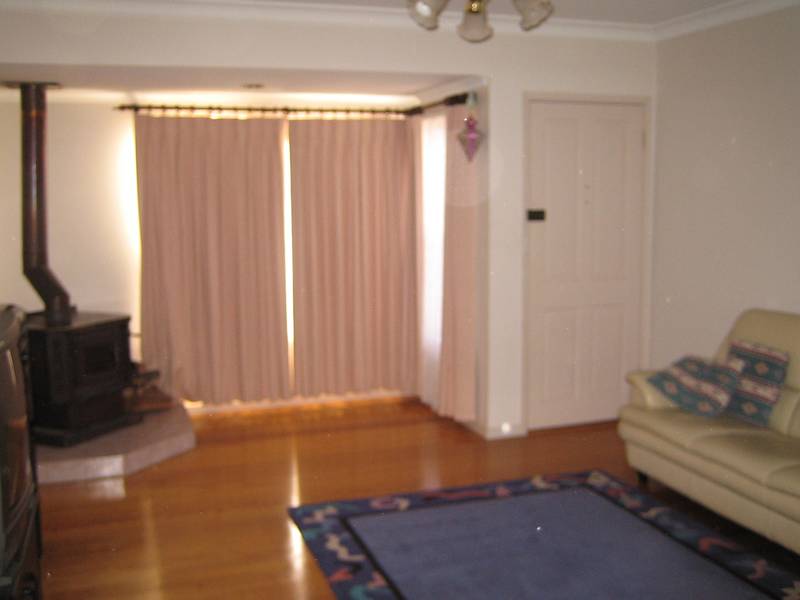 Attention Investors Picture 3