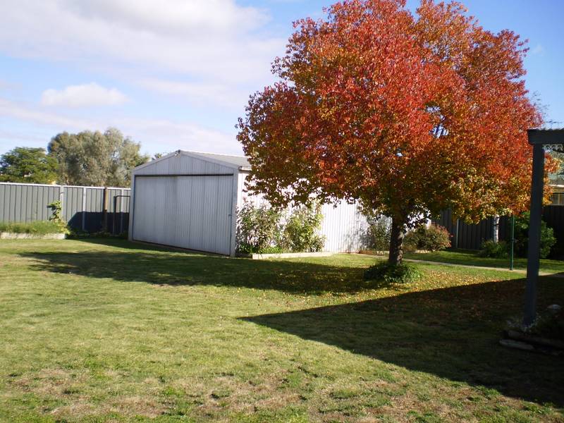Her House, His Shed Picture