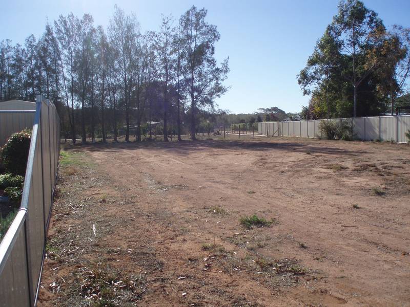 What A Find!! Picture 2