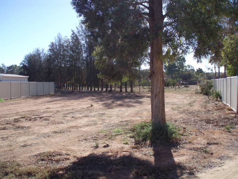 What A Find!! Picture 1